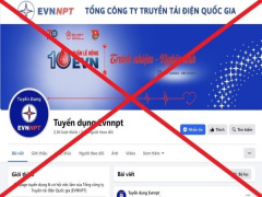 Ảnh bìa bài viết 968987