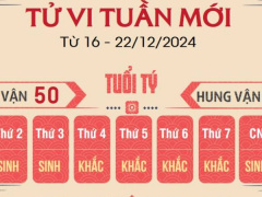 Ảnh bìa bài viết 969140