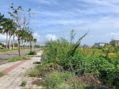 Ảnh bìa bài viết 969354