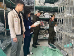 Ảnh bìa bài viết 969539