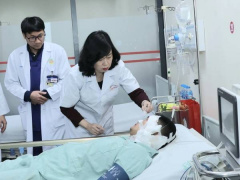 Ảnh bìa bài viết 969701
