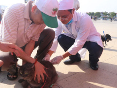 Ảnh bìa bài viết 969769