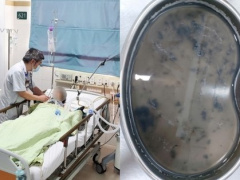 Ảnh bìa bài viết 969912