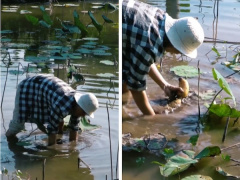 Ảnh bìa bài viết 969993
