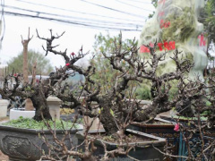 Ảnh bìa bài viết 969904