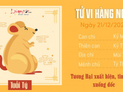 Ảnh bìa bài viết 969874