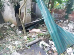 Ảnh bìa bài viết 970280