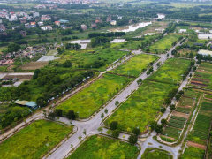 Ảnh bìa bài viết 970248