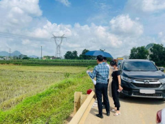 Ảnh bìa bài viết 970196