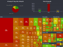 Ảnh bìa bài viết 970388