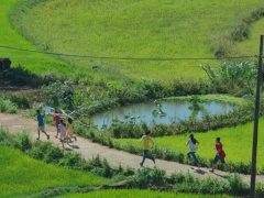 Ảnh bìa bài viết 970640