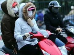 Ảnh bìa bài viết 970736