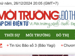 Ảnh bìa bài viết 970979