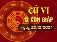 Ảnh bìa bài viết 970989
