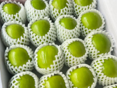 Ảnh bìa bài viết 971202