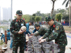 Ảnh bìa bài viết 971405