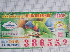 Ảnh bìa bài viết 971347