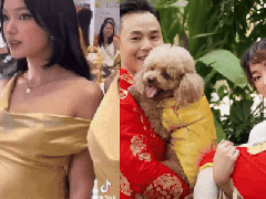 Ảnh bìa bài viết 972172