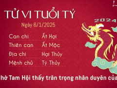 Ảnh bìa bài viết 972078