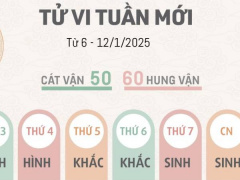 Ảnh bìa bài viết 972101