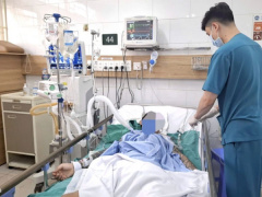 Ảnh bìa bài viết 972465