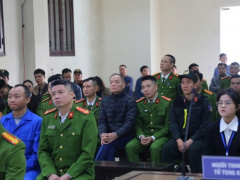 Ảnh bìa bài viết 972641