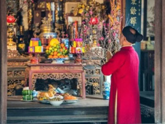 Ảnh bìa bài viết 973088