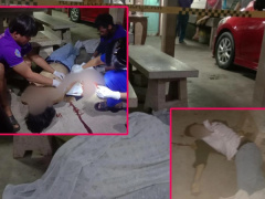 Ảnh bìa bài viết 973140