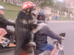 Ảnh bìa bài viết 973461