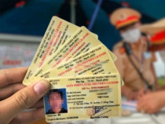 Ảnh bìa bài viết 973714