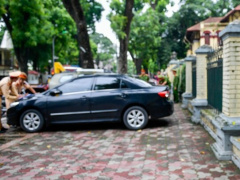 Ảnh bìa bài viết 973694