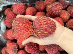 Ảnh bìa bài viết 973951