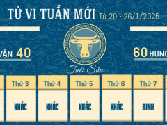 Ảnh bìa bài viết 974121