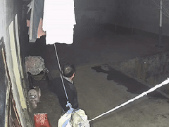 Ảnh bìa bài viết 974329