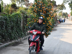 Ảnh bìa bài viết 974188