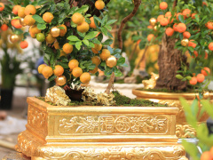 Ảnh bìa bài viết 974366