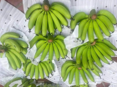Ảnh bìa bài viết 974358