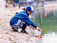 Ảnh bìa bài viết 974433
