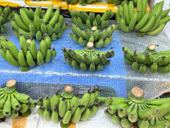 Ảnh bìa bài viết 974880