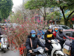 Ảnh bìa bài viết 974901