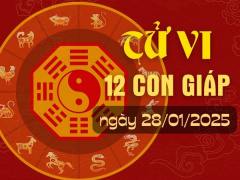 Ảnh bìa bài viết 974979