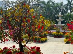 Ảnh bìa bài viết 975012