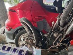 Ảnh bìa bài viết 975028