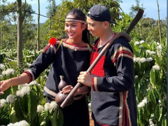 Ảnh bìa bài viết 975230