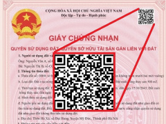 Ảnh bìa bài viết 975294