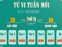 Ảnh bìa bài viết 975464