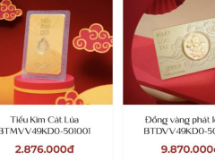 Ảnh bìa bài viết 975399