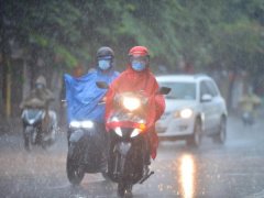 Ảnh bìa bài viết 975611