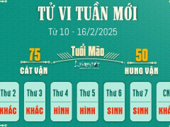 Ảnh bìa bài viết 976257
