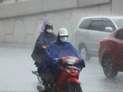 Ảnh bìa bài viết 976472